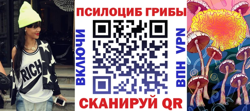 MEGA зеркало  цены наркотик  Петушки  Галлюциногенные грибы Psilocybe 